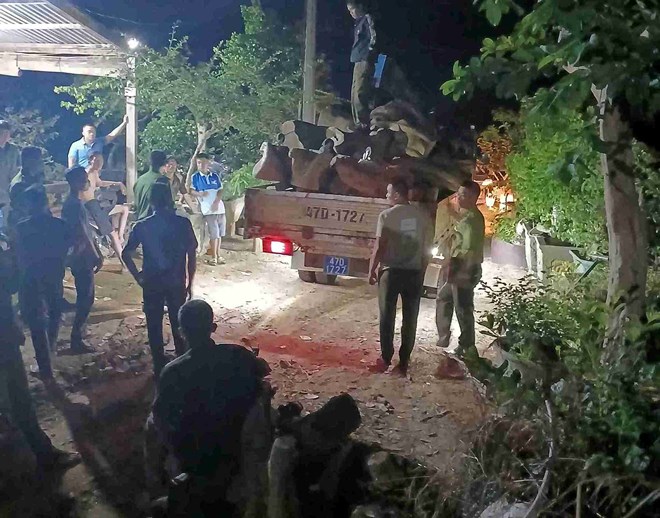 Z5965085266349_61561 hính